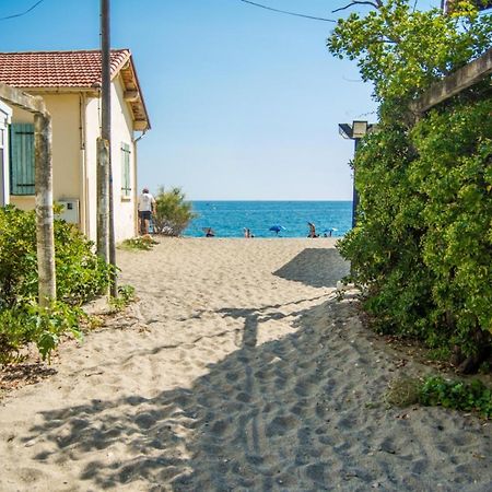 Villa confort et cosy 20 minutes d'Espagne Plage dʼArgelès Extérieur photo